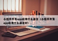 小程序开发app应用什么语言（小程序开发app应用什么语言好）