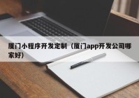 厦门小程序开发定制（厦门app开发公司哪家好）