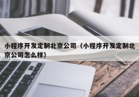 小程序开发定制北京公司（小程序开发定制北京公司怎么样）