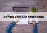 小程序开发员教学（小程序开发自学教程）