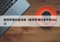 软件开发行业分析（软件开发行业分析2023）