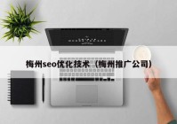 梅州seo优化技术（梅州推广公司）