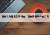 西安软件开发公司简介（西安开发软件的公司）