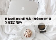 西安公司app软件开发（西安app软件开发哪家公司好）