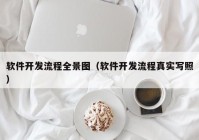 软件开发流程全景图（软件开发流程真实写照）