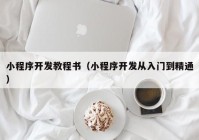 小程序开发教程书（小程序开发从入门到精通）