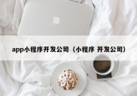 app小程序开发公司（小程序 开发公司）