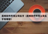 昆明软件开发公司名字（昆明软件开发公司名字有哪些）