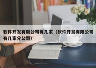 软件开发有限公司有几家（软件开发有限公司有几家分公司）