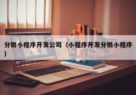 分销小程序开发公司（小程序开发分销小程序）