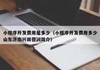 小程序开发费用是多少（小程序开发费用多少山东济南兴田德润简介）