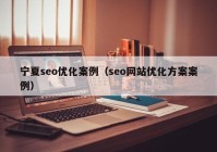 宁夏seo优化案例（seo网站优化方案案例）