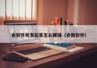 会软件开发在家怎么赚钱（会做软件）