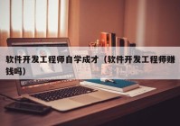 软件开发工程师自学成才（软件开发工程师赚钱吗）