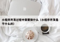 小程序开发过程中需要做什么（小程序开发是干什么的）