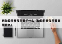 想做软件开发需要学什么（做软件开发需要掌握什么）