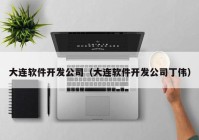 大连软件开发公司（大连软件开发公司丁伟）