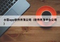 小型app软件开发公司（软件开发平台公司）