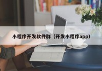 小程序开发软件群（开发小程序app）