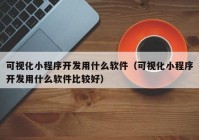 可视化小程序开发用什么软件（可视化小程序开发用什么软件比较好）