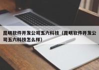 昆明软件开发公司五六科技（昆明软件开发公司五六科技怎么样）