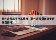 软件开发属于什么费用（软件开发费用属于研发费用吗）