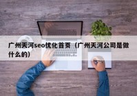 广州天河seo优化首页（广州天河公司是做什么的）