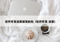 软件开发资质颁发机构（软件开发 资质）