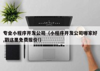 专业小程序开发公司（小程序开发公司哪家好,戳这里免费报价!）