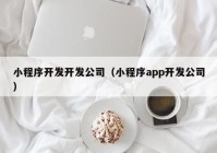 小程序开发开发公司（小程序app开发公司）