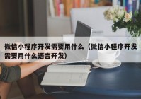 微信小程序开发需要用什么（微信小程序开发需要用什么语言开发）