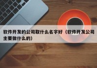 软件开发的公司取什么名字好（软件开发公司主要做什么的）