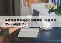 小程序开发的appid在哪里看（小程序开发appid是什么）