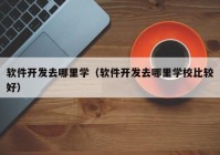 软件开发去哪里学（软件开发去哪里学校比较好）